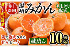 ＜1月中旬より順次発送予定＞大分県宇佐市産 蔵出し みかん(約10kg)ミカン 蜜柑 柑橘 フルーツ 果物 くだもの 果実 国産 熟成【103690100】【井上農園】