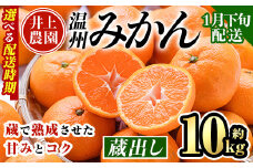 ＜1月下旬より順次発送予定＞大分県宇佐市産 蔵出し みかん(約10kg)ミカン 蜜柑 柑橘 フルーツ 果物 くだもの 果実 国産 熟成【103690200】【井上農園】