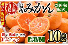 ＜2月中旬より順次発送予定＞大分県宇佐市産 蔵出し みかん(約10kg)ミカン 蜜柑 柑橘 フルーツ 果物 くだもの 果実 国産 熟成【103690400】【井上農園】