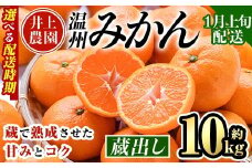＜1月上旬より順次発送予定＞大分県宇佐市産 蔵出し みかん(約10kg)ミカン 蜜柑 柑橘 フルーツ 果物 くだもの 果実 国産 熟成【103690600】【井上農園】
