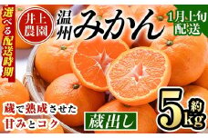 ＜1月上旬より順次発送予定＞大分県宇佐市産 蔵出し みかん(約5kg)ミカン 蜜柑 柑橘 フルーツ 果物 くだもの 果実 国産 熟成【103640600】【井上農園】
