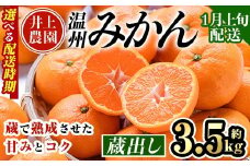 ＜1月上旬より順次発送予定＞大分県宇佐市産 蔵出し みかん(約3.5kg)ミカン 蜜柑 柑橘 フルーツ 果物 くだもの 果実 国産 熟成【103680600】【井上農園】