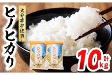  ＜先行予約受付中！2025年12月中旬より順次発送予定＞ヒノヒカリ 白米 (計10kg) お米 ごはん ご飯 ひのひかり 数量限定 【117800200】【ジョイライス大分】