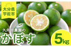 かぼす(5kg)柑橘 かんきつ 大分県産直【112600100】【ａｎｄＫ】
