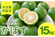 かぼす(15kg)柑橘 かんきつ 大分県産直 期間限定【112600300】【ａｎｄＫ】