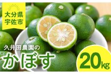かぼす(20kg)柑橘 かんきつ 大分県産直 期間限定【112600400】【ａｎｄＫ】