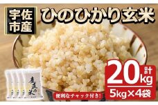 ＜先行予約受付中！2025年11月中旬以降順次発送予定＞＜令和7年産・新米＞ひのひかり 玄米(計20kg)お米 20キロ ヒノヒカリ 真空パック 真空包装 【114900600】【祥田産業】