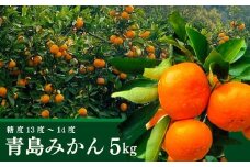＜先行予約受付中！2026年1月中旬より順次発送予定＞ みかん 青島(約5kg・補償分0.3kg) みかん ミカン 蜜柑 柑橘 フルーツ 果物 くだもの 果実 高橋農園 【109800400】【高橋　憲明】
