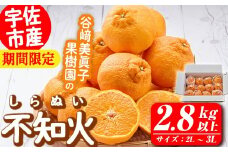 ＜先行予約受付中！2026年3月上旬～4月下旬の間に発送予定＞不知火(2L～3L・2.8kg～)みかん フルーツ しらぬい 柑橘 ミカン【113300300】【谷崎美眞子果樹園】