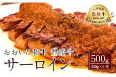027-109 おおいた和牛 豊後牛 サーロイン 250g×2枚 計500g 牛肉 ステーキ