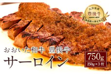 027-110 おおいた和牛 豊後牛  サーロイン 250g×3枚 計750g