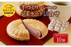 021-133 手づくり ジェラート 詰合せ モナカアイス 10個セット アイス