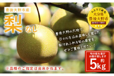 037-1053x1 【先行予約】 大分県 豊後大野市産 梨 約5kg 【2025年8月上旬～12月上旬発送予定】