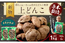 015-154x1 新物 上どんこ 1kg（500g×2袋）椎茸 うまみだけ 【2025年4月上旬以降順次発送】