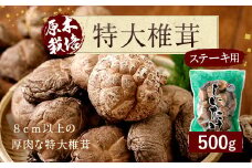 015-155 大分県 豊後大野市産 【ステーキ用】 特大 椎茸 500g しいたけ