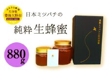 025-766x1 【TV番組で紹介されました】 日本ミツバチ の 純粋 生蜂蜜 880g ハチミツ はちみつ 国産 生はちみつ 【2025年11月下旬より順次発送予定】