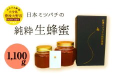 025-767x1 【TV番組で紹介されました】 日本ミツバチ の 純粋 生蜂蜜 1100g ハチミツ はちみつ 国産 生はちみつ 【2025年11月下旬より順次発送予定】