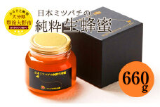 025-765x2 【TV番組で紹介されました】 日本ミツバチ の 純粋 生蜂蜜 660g ハチミツ はちみつ 国産 生はちみつ 【2025年11月下旬より順次発送予定】