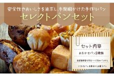 046-717 お山のキッチンウスダ セレクト パン セット 8種類 おまかせ 手作りパン 冷凍
