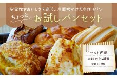 046-919 ちょっと お試し パン セット (パン 4種類 + 焼菓子 1種類)