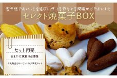 046-222 セレクト 焼菓子 BOX 6種類 おまかせ