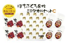 048-923 ぽちぶくろ・ミニタオルセットC ハンカチ ポチ袋