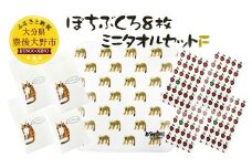 048-926 ぽちぶくろ・ミニタオルセットF ハンカチ ポチ袋