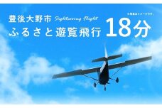 059-263 豊後大野市 ふるさと遊覧飛行 18分（3人まで搭乗可）