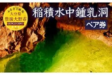 058-927 稲積水中鍾乳洞 ペア入場券
