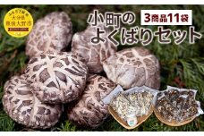 008-301x1 小町のよくばりセット （どんこ乾椎茸 45g×6パック 、スライス乾椎茸 30g×4パック 、なしこのなばこ 45g×1本） 
