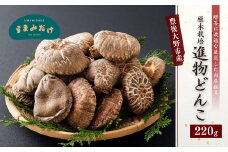 015-320 進物 どんこ 220g 干ししいたけ 椎茸 うまみだけ