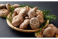 進物 どんこ 220g 干ししいたけ 椎茸 うまみだけ