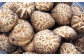 全国椎茸品評会入賞 数量限定 進物 どんこ 200g