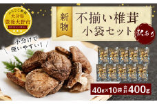 015-960x2 新物 不揃い 椎茸 10袋セット 乾燥 乾燥しいたけ 【2025年4月上旬以降順次発送】
