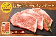 074-384 豊後牛 サーロイン ステーキ 合計660g 牛肉