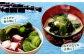 081-409x1 九州産 カット 乾燥わかめ 20g×7袋 計140g