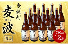 088-450x1 麦焼酎 麦波 ばっは 720ml 12本 セット 25度 焼酎