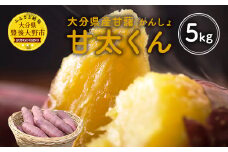 022-803 【2023年1月上旬より順次発送】 大分県産 甘太くん 2L 5kg 紅はるか さつまいも