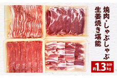 093-474 大分県産 米の恵 豚 焼肉 しゃぶしゃぶ 生姜焼き 堪能 約1.3kg