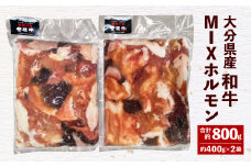 093-475 大分県産 和牛 MIX ホルモン 約800g 約400g×2