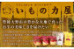 030-525 手作りホロホロ クッキー ＆こだわり プリン 詰め合わせセット 計880g お菓子