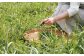 019-540 発酵野草茶 3個セット 健康茶 オーガニック カフェインフリー