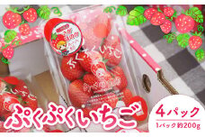 105-604 ぷくぷくいちご 計約800g（約200g×4パック） 厳選 いちご 苺