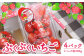 105-604 ぷくぷくいちご 計約800g（約200g×4パック） 厳選 いちご 苺
