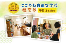 117-571 ここのね自由な学校 視察券 チケット 見学 豊後大野市