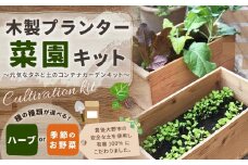095-715-H 木製プランター菜園キット～元気なタネと土のコンテナガーデンキット～ハーブ ガーデニング 