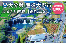 140-655 豊後大野市への寄付（返礼品はありません）1口 1,000円