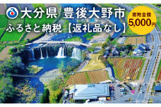 140-656 豊後大野市への寄付（返礼品はありません）1口 5,000円