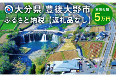 140-658 豊後大野市への寄付（返礼品はありません）1口 5万円
