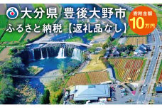 140-659 豊後大野市への寄付（返礼品はありません）1口 10万円